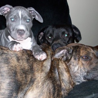 kratos, otep, lil' bit