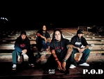 P.O.D
