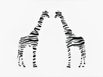 Zebra striped giraffe