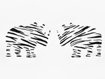 Zebra striped Rhino