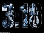 wrestling 316