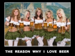 The reason why I love beer
