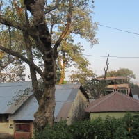 Matheran Hill Station, India