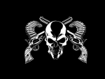 Skull and Guns