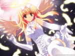 Cute Anime Angel