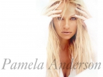 PAMELA ANDERSON