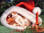 Christmas kittens