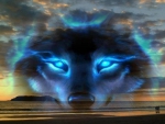 blue wolf