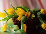 yellow tulips in a basket