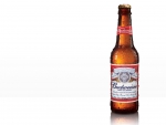 Budweiser Beer