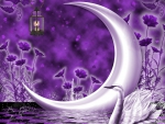 âœ¼Swan of Crescent Moonâœ¼