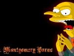 MR.BURNS