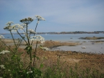 Coast of Brittany