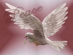 Dove of peace