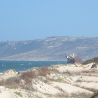 Rimel...bizerte,tunisia