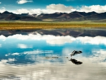tibet-hd