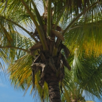 Dominikanische Republik