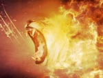~Lion's Roar~
