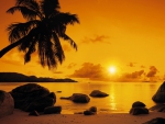 SUNSET IN PARADISE