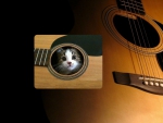 Cat inside a guitar