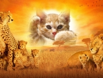 Kitten and Big Cats
