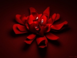 ~Red Petals~