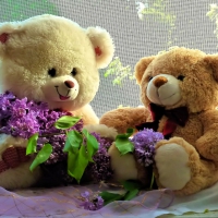 Cute teddy bears with lilac