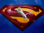 SuperCat