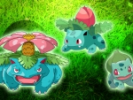 Pokemon grass starter