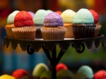 COLORFUL MINI CUPCAKES