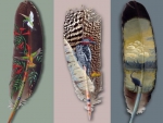 feather art work
