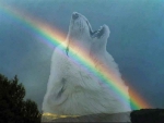 Wolf Rainbow