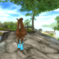 Star Stable