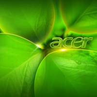 acer leaf theme
