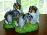 Collies and butterflies
