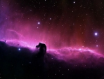 horse head nebula