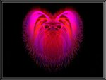 heart fractal