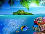 Tropical reef