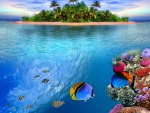 Tropical reef