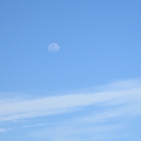 Day Moon