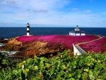 Pancha island lighthouse-Galicia, Spain