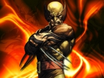 Wolverine