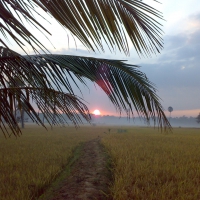 Sunrise in Palakkad