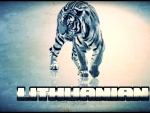 Lithuanian Tiger