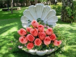 Roses on the shell