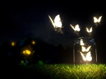 Glowing butterflies