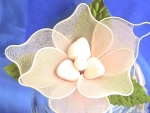 cotton flower