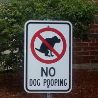 No doggie doo