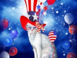 âœ«Cat in Patriotic Hatâœ«