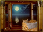 good night ,cat